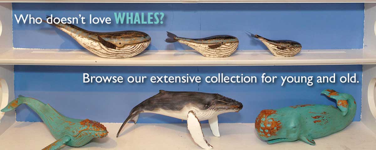 Browse our extensive collection of whales.
